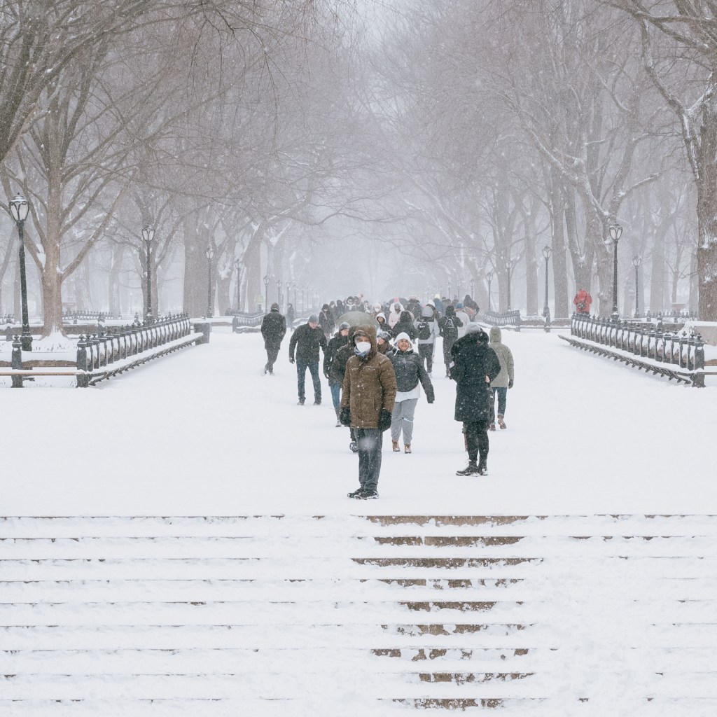 Snowstorm in New&nbsp;York